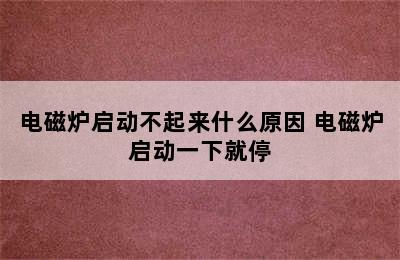 电磁炉启动不起来什么原因 电磁炉启动一下就停